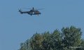 cougar-gh7_3101