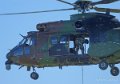 cougar-gh7_3112