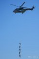 cougar-grappe-a74_00391