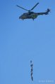 cougar-grappe-a74_00393