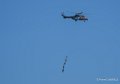 cougar-grappe-a74_00400