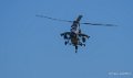 tigre-a74_00354