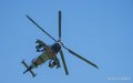 tigre-a74_00355