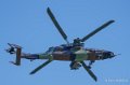 tigre-a74_00356