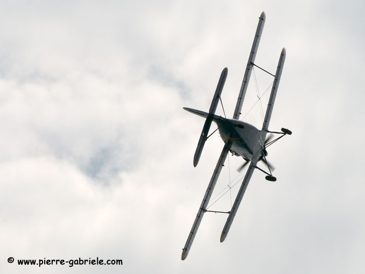 antonov_5462.jpg