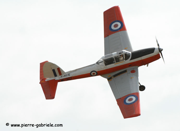 ms733_5424.jpg