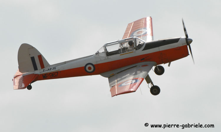 ms733_5426.jpg