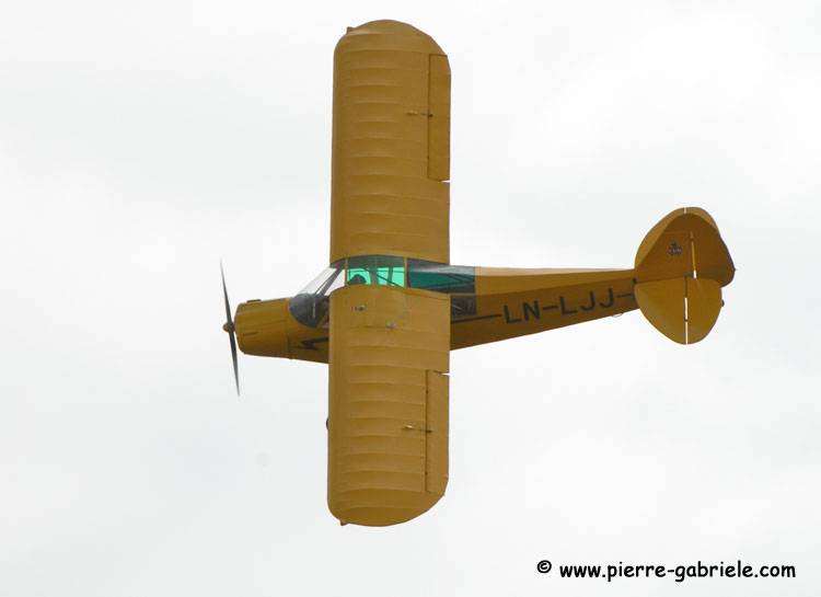 piper_5443.jpg