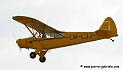 piper_5435