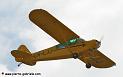 piper_5437