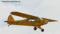 piper_5439