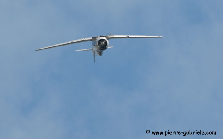 t6_5573.jpg