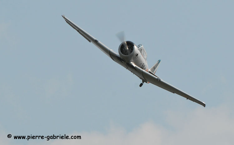 t6_5590.jpg