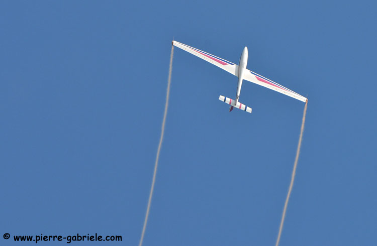 swift_5517.jpg
