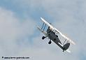 stampe_5481