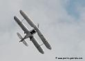 stampe_5483