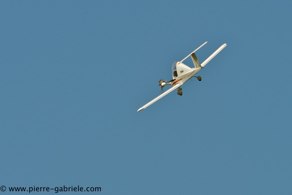 cricri_2700.jpg