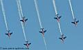 paf_3118