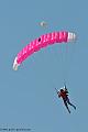 paras_2734