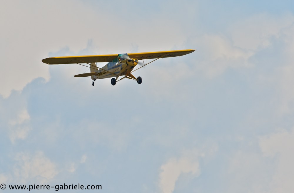 piper-cub_2912.jpg