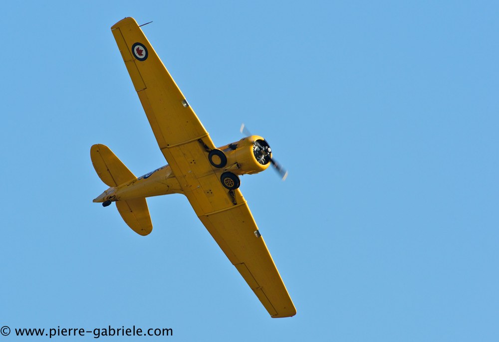 t6_2978.jpg