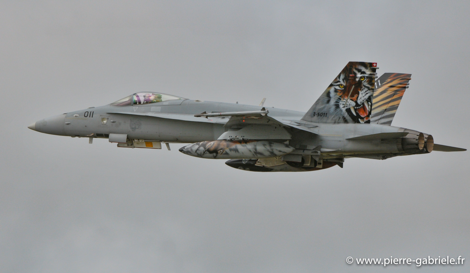 fa18_4765.jpg