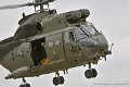puma_4164