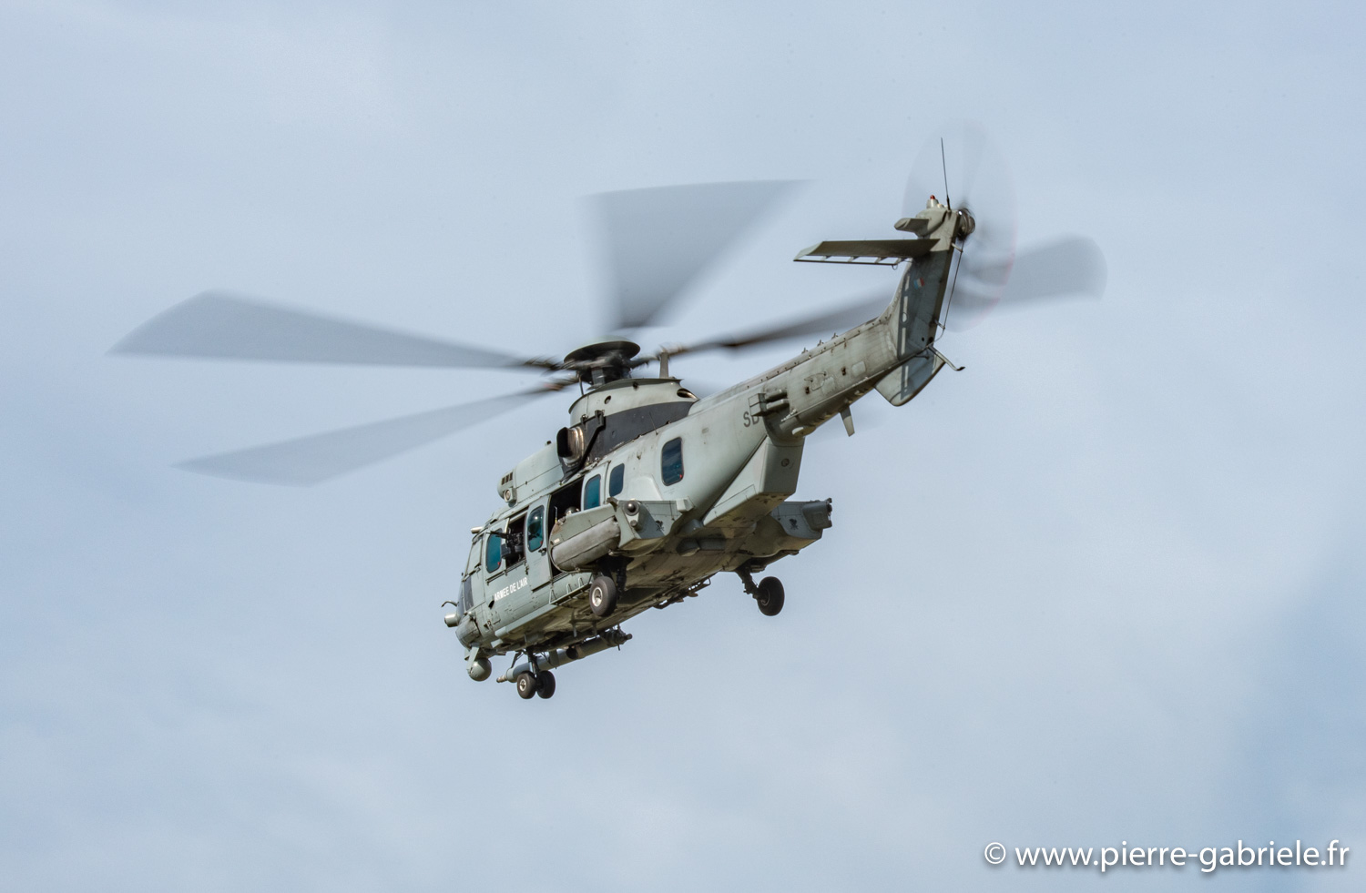 caracal_4091.jpg