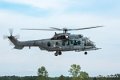 caracal_4008