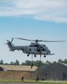 caracal_4038