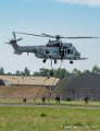 caracal_4039