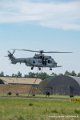 caracal_4041