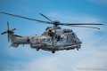 caracal_4042
