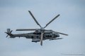 caracal_4046
