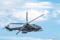 caracal_4047