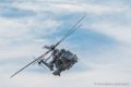 caracal_4048