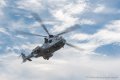 caracal_4050