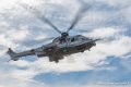caracal_4051