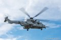 caracal_4052