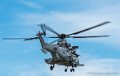 caracal_4053