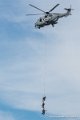 caracal_4059