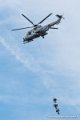 caracal_4060