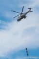 caracal_4061