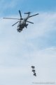 caracal_4062