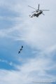 caracal_4064