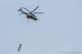 caracal_4066