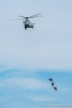caracal_4068