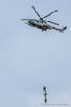 caracal_4073