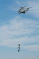 caracal_4075