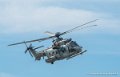 caracal_4080